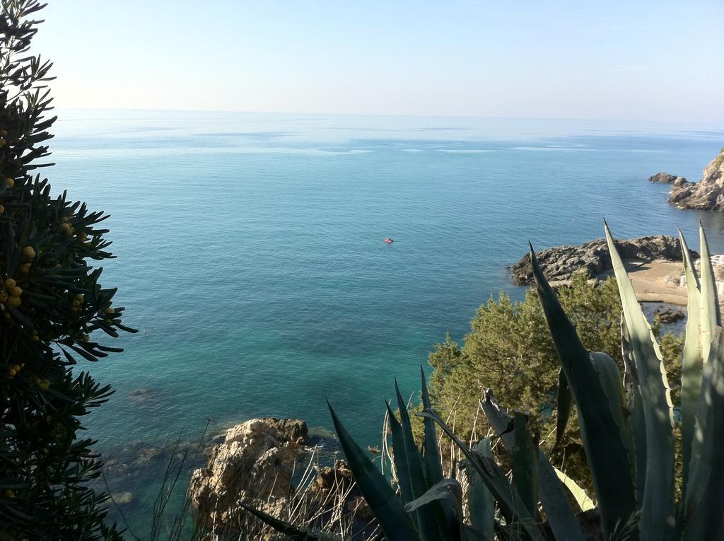 מונטיאנו Agriturismo Prati Degli Orti מראה חיצוני תמונה